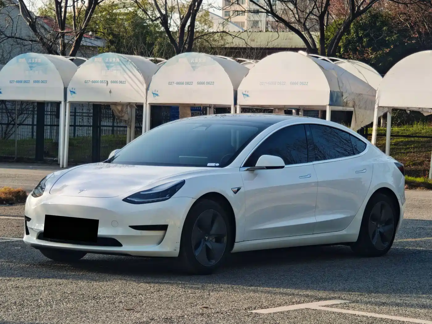 Tesla Model 3 2020