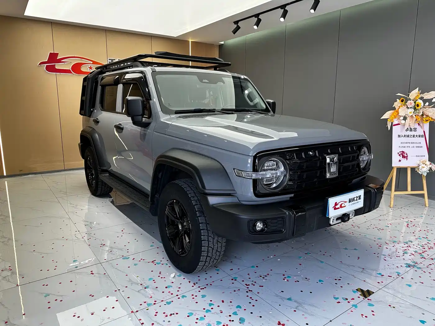 Tank 300 2021 2021 Off-road Version 2.0T Conqueror
