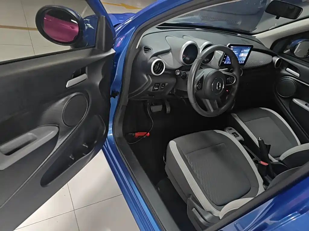 Ora Black Cat 2019 2019 Model 351km Smart Fun Edition