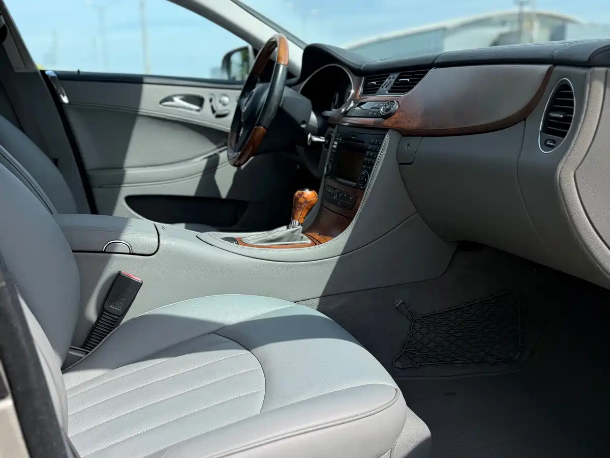 Mercedes-Benz CLS 2010 2009 CLS 300