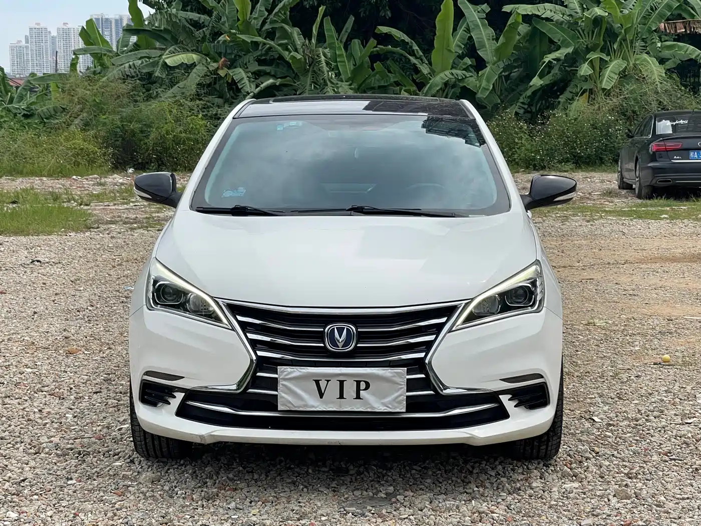 Changan Eado DT 2020 2019 1.6L Automatic Joy China VI