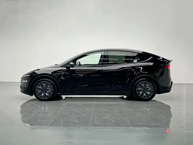 Tesla Model Y L, фото 3