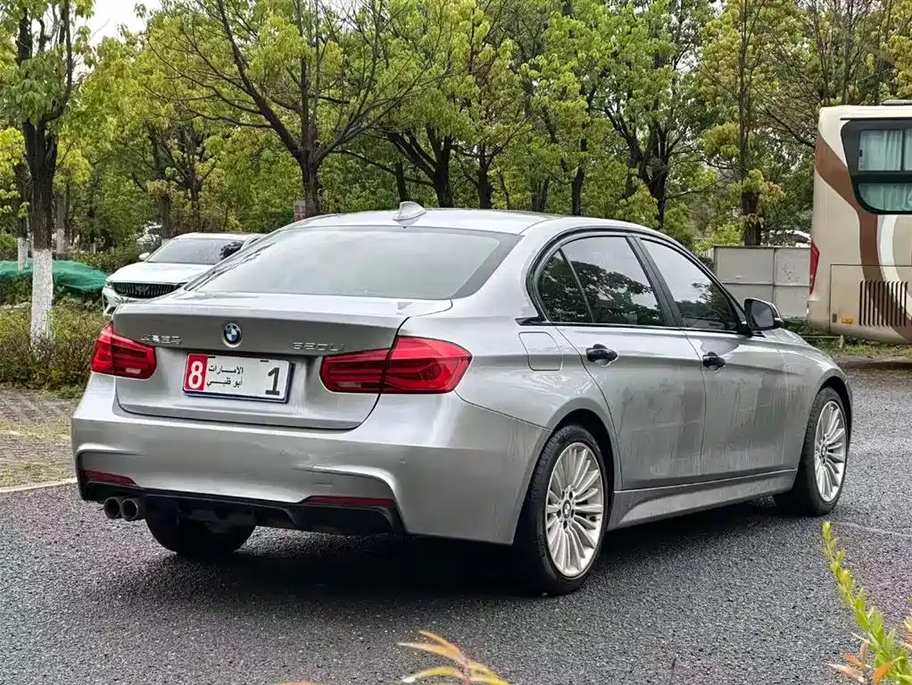 BMW 3 Series 2018 320Li Leading M Sport Package фото 7