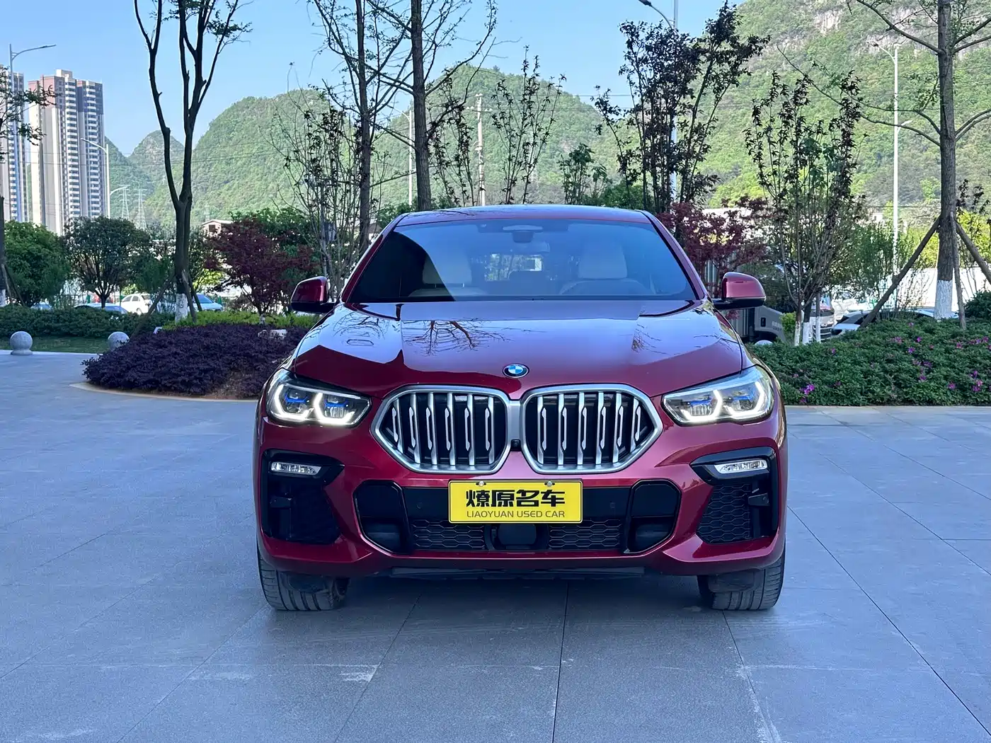 BMW X6