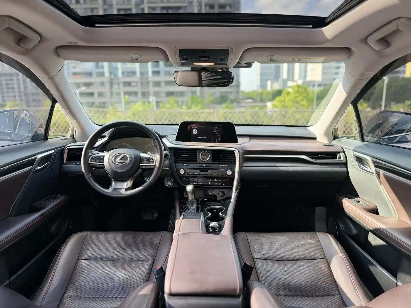 LEXUS RX