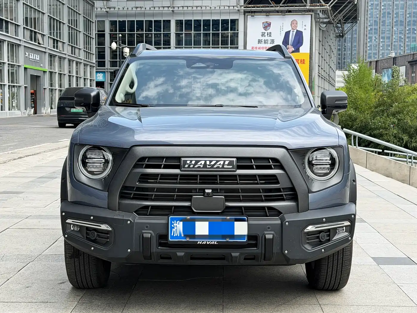 HAVAL BIG DOG