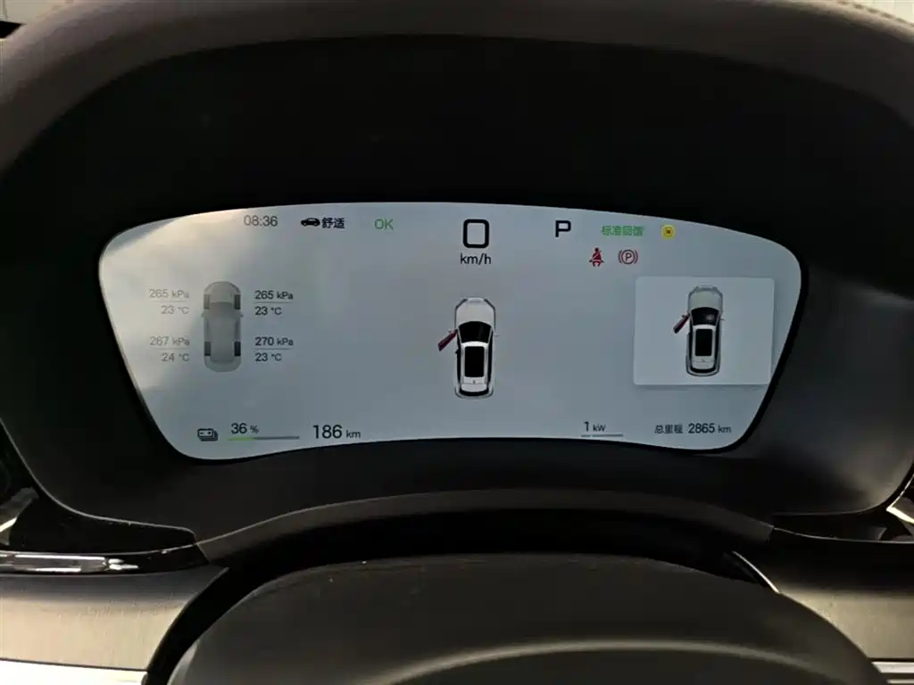 BYD Song PLUS PHEV 2025 EV Smart Driving Edition 520km Premium фото 12