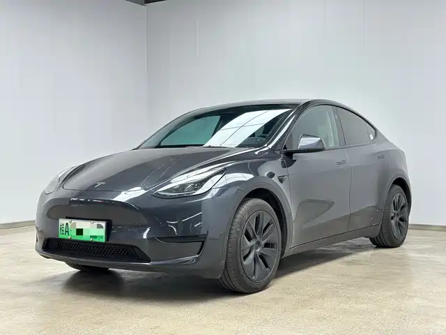 Tesla Model Y 2024 Rear-Wheel Drive Version — фото 1