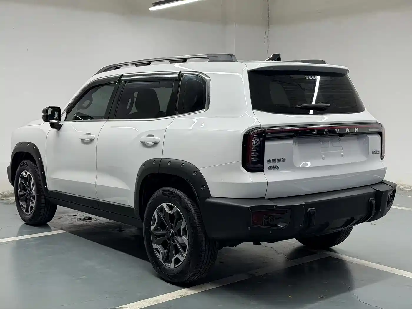 Haval Big Dog 2022 2.0T DCT 4WD Chinese Rural Dog Hunting Edition фото 6