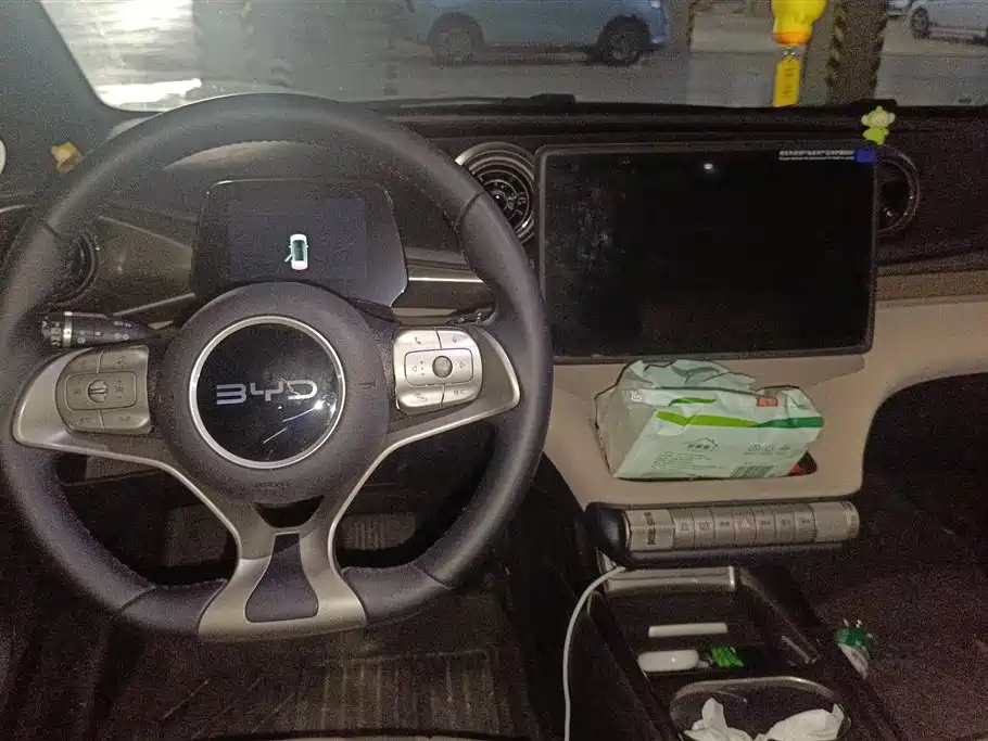 BYD Dolphin 2025 420km Fashion Edition фото 12