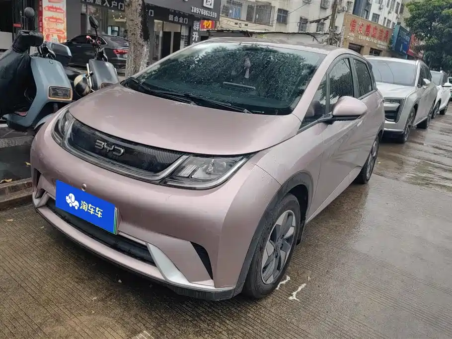 BYD Dolphin 2024 Glory Edition 420km Freedom Edition