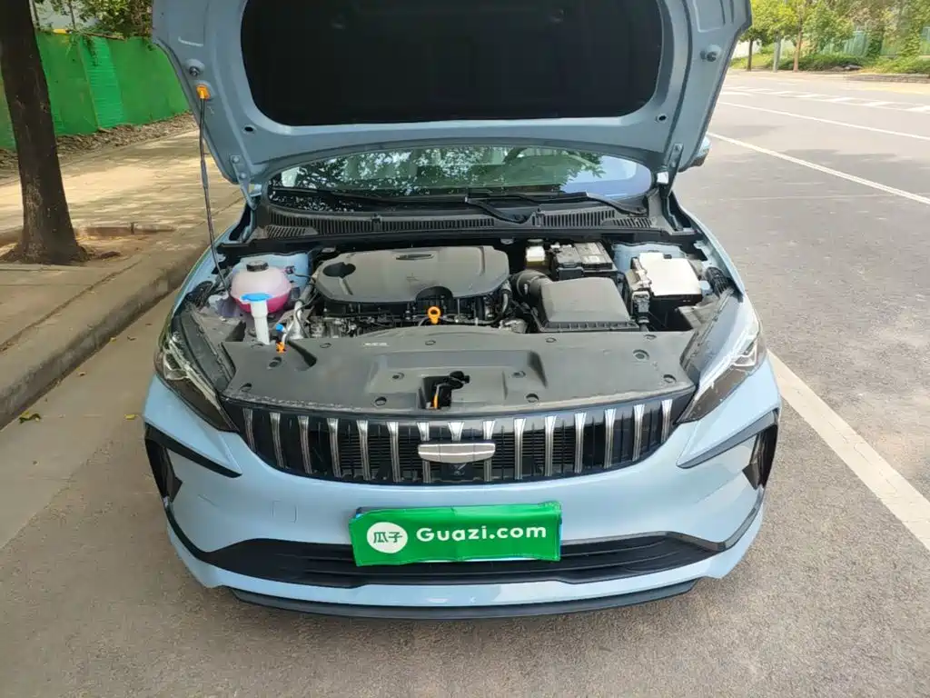 Фото 20 - Geely Binrui
