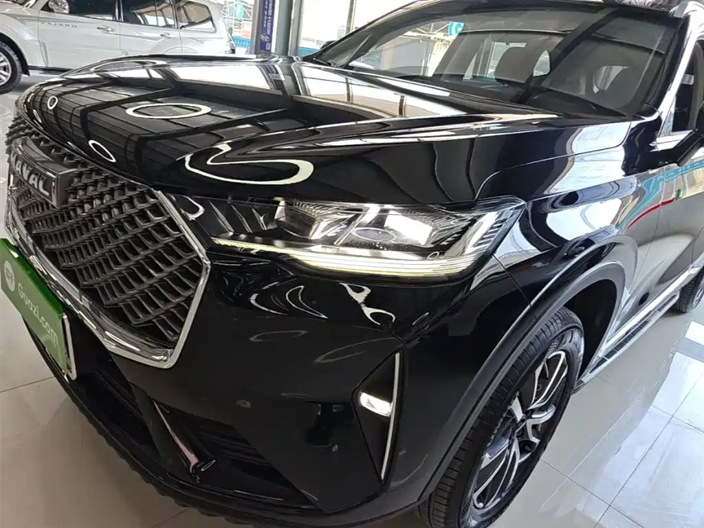 Haval H6 2022 3rd Gen 1.5T Auto 2WD Pro фото 23
