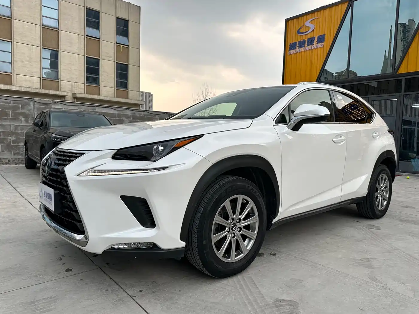 LEXUS NX