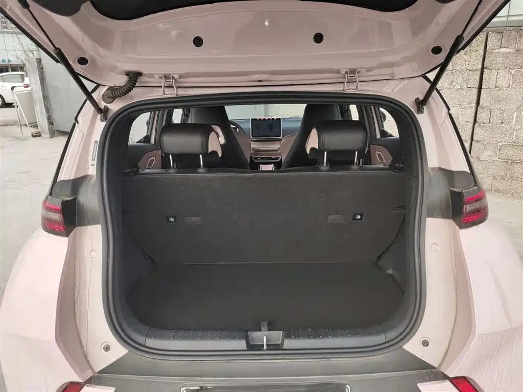 BYD Seagull 2024 Glory Edition 305km Freedom Edition фото 19