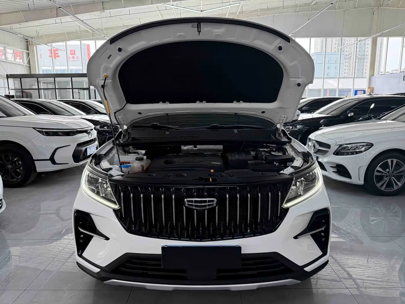 Geely Emgrand X6 2022 2021 Model PRO 1.4T Automatic Premium