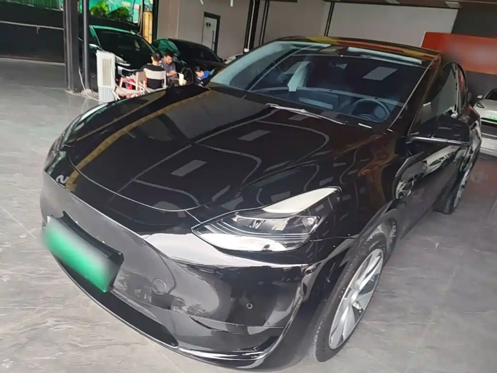 Tesla Model Y 2022 Rear-Wheel Drive Version