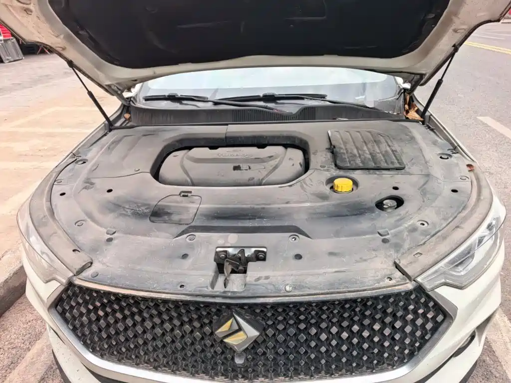 Baojun RC-6 2020 2019 1.5T CVT 24-hour Online Premium