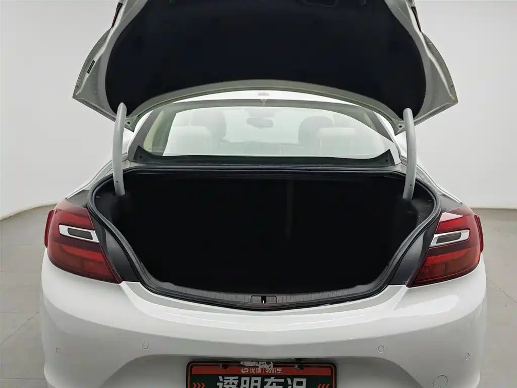 Buick Regal 2014 2.0L Elite Fashion Type фото 16