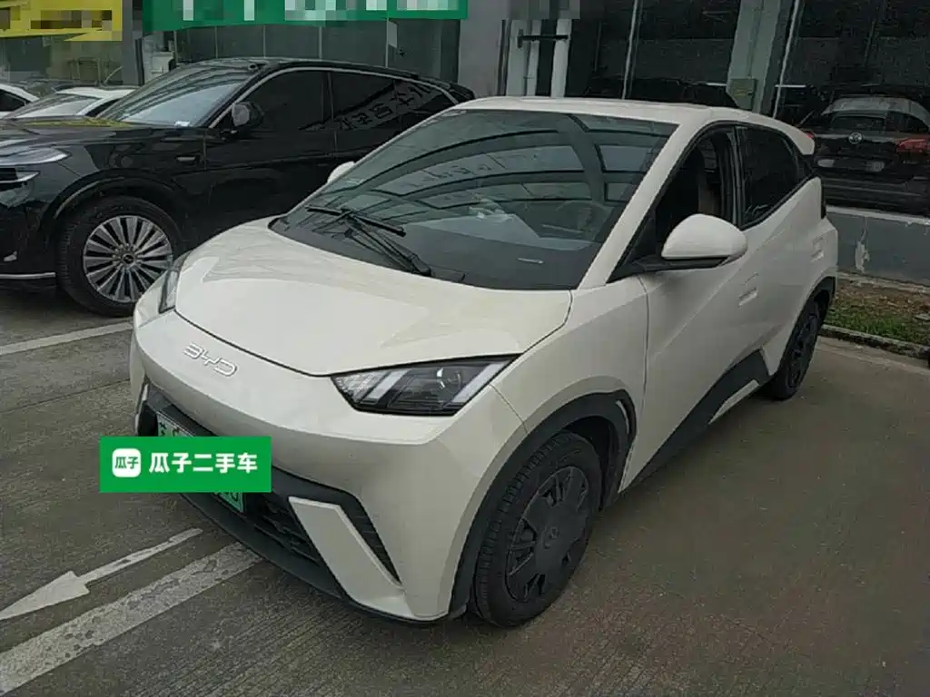BYD Seagull 2024 Glory Edition 305km Vitality Edition