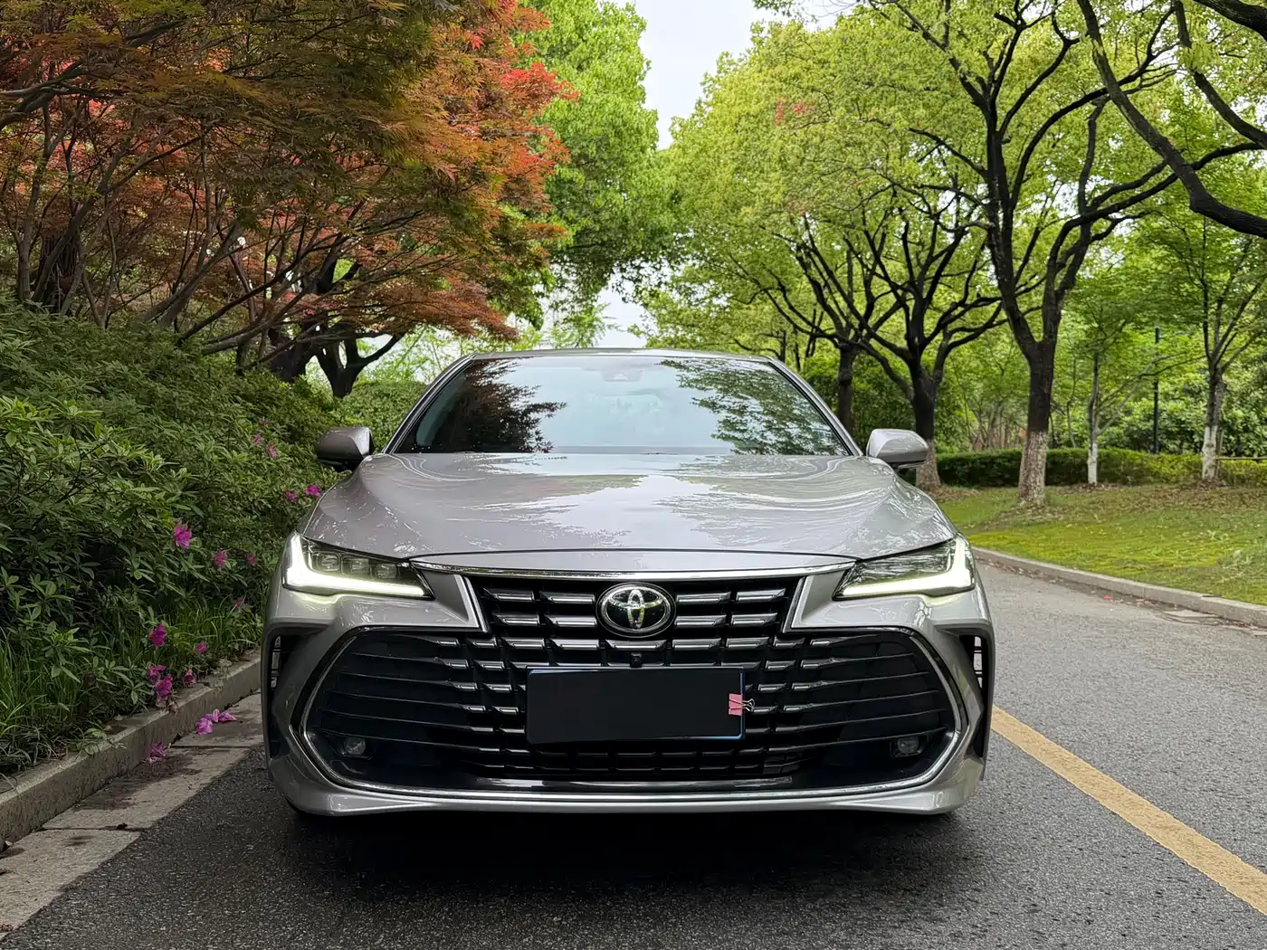 TOYOTA ASIAN DRAGON