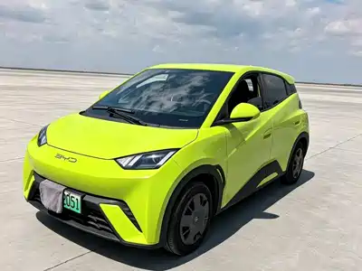 BYD Seagull