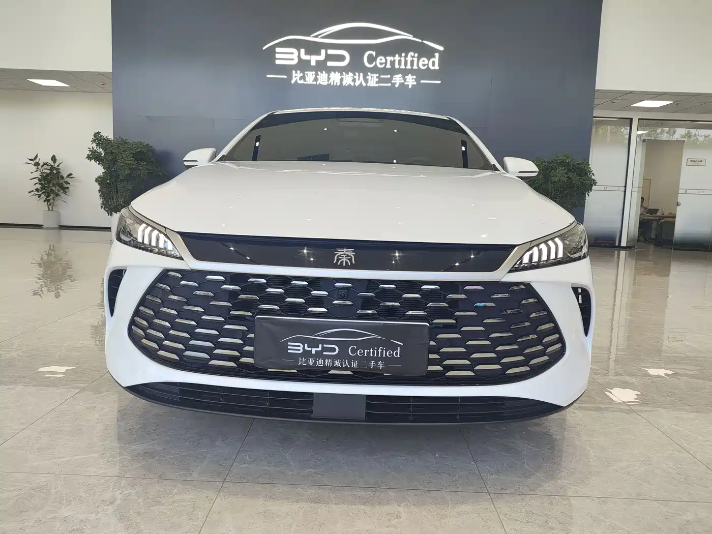 BYD Qin PLUS 2025 DM-i Smart Drive Edition 120KM Surpassing Type фото 2