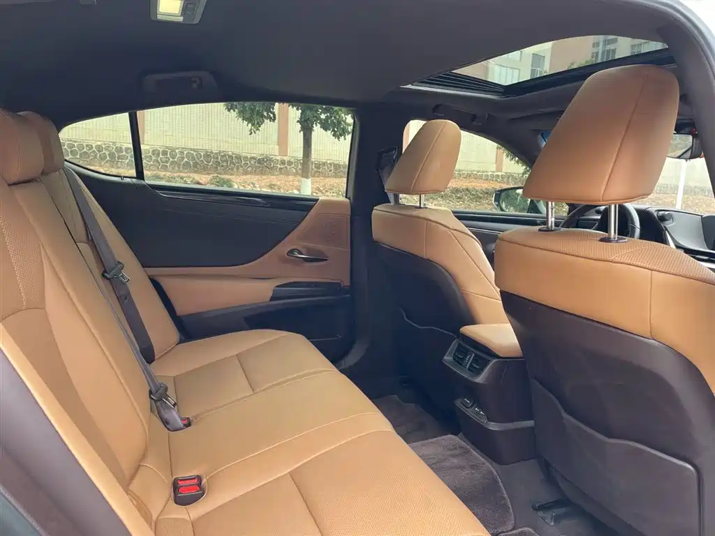Lexus ES 2021 300h Luxury Edition фото 7