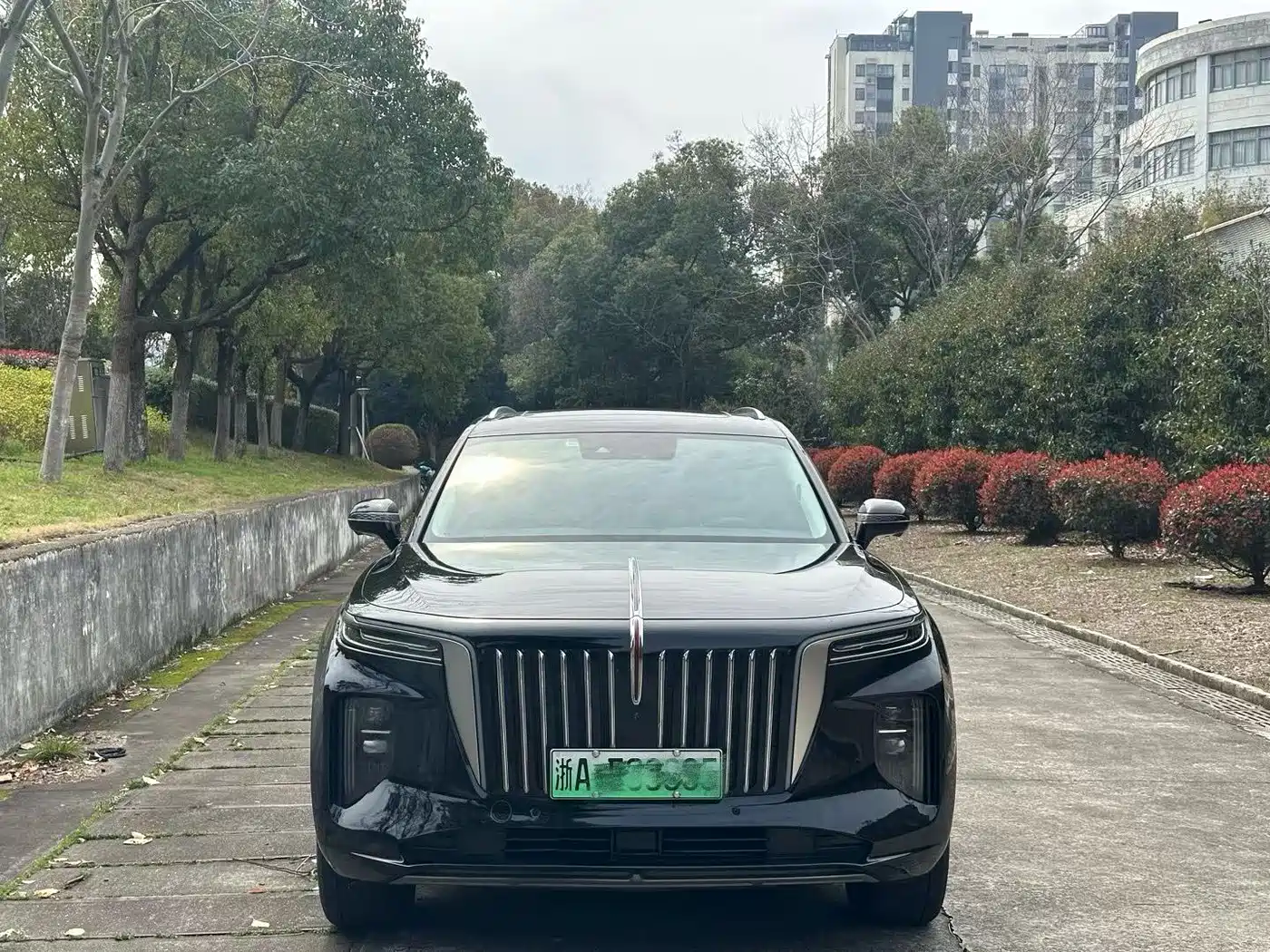 Hongqi HONGQI E HS9