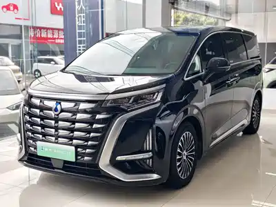 Denza D9