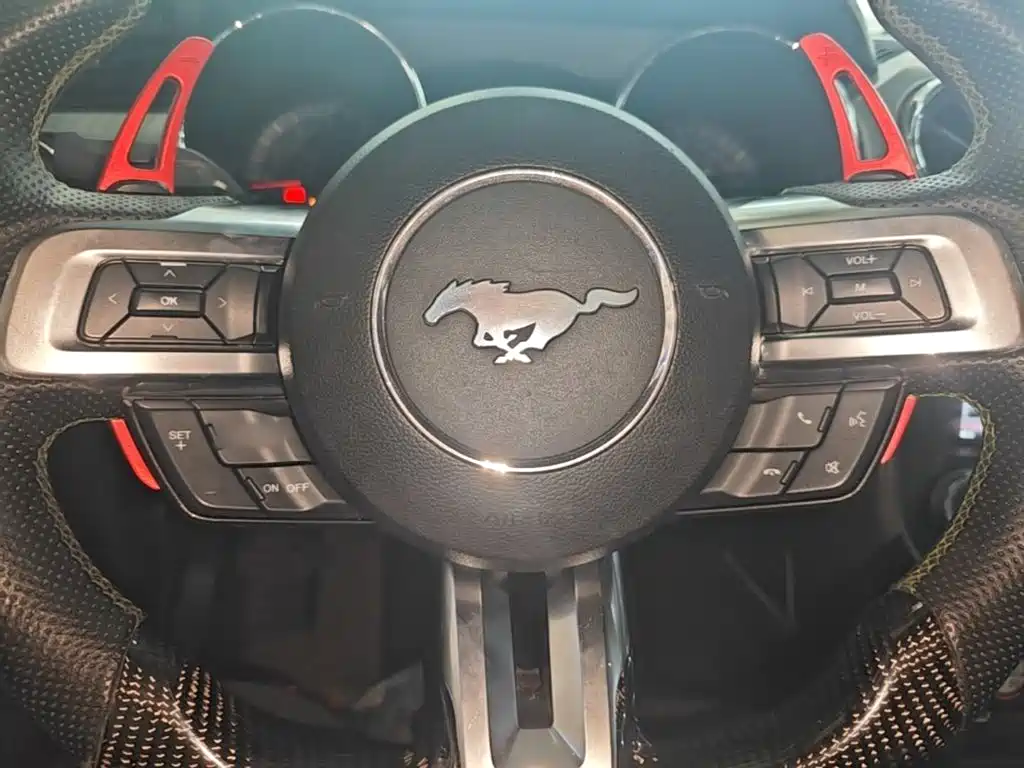 Ford Mustang 2015 2015 2.3T 50th Anniversary Edition