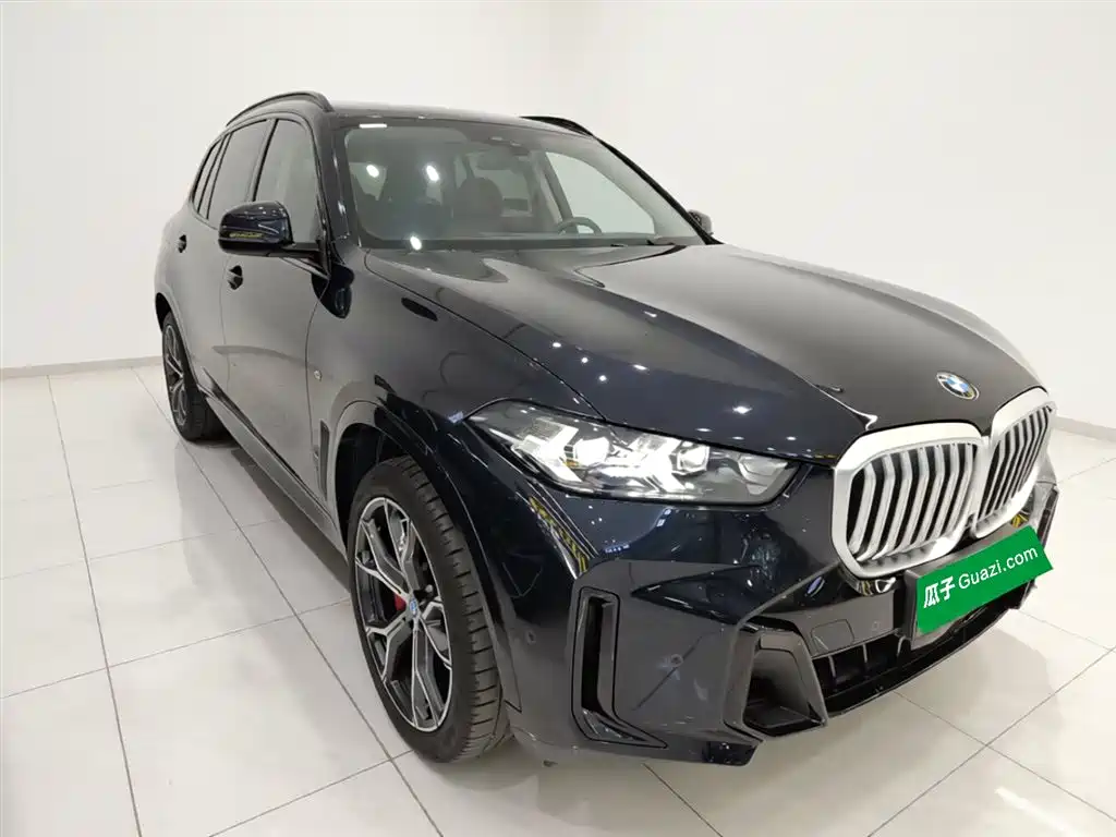 BMW X5 2023 xDrive 30Li Premium M Sport Black Night Package фото 4