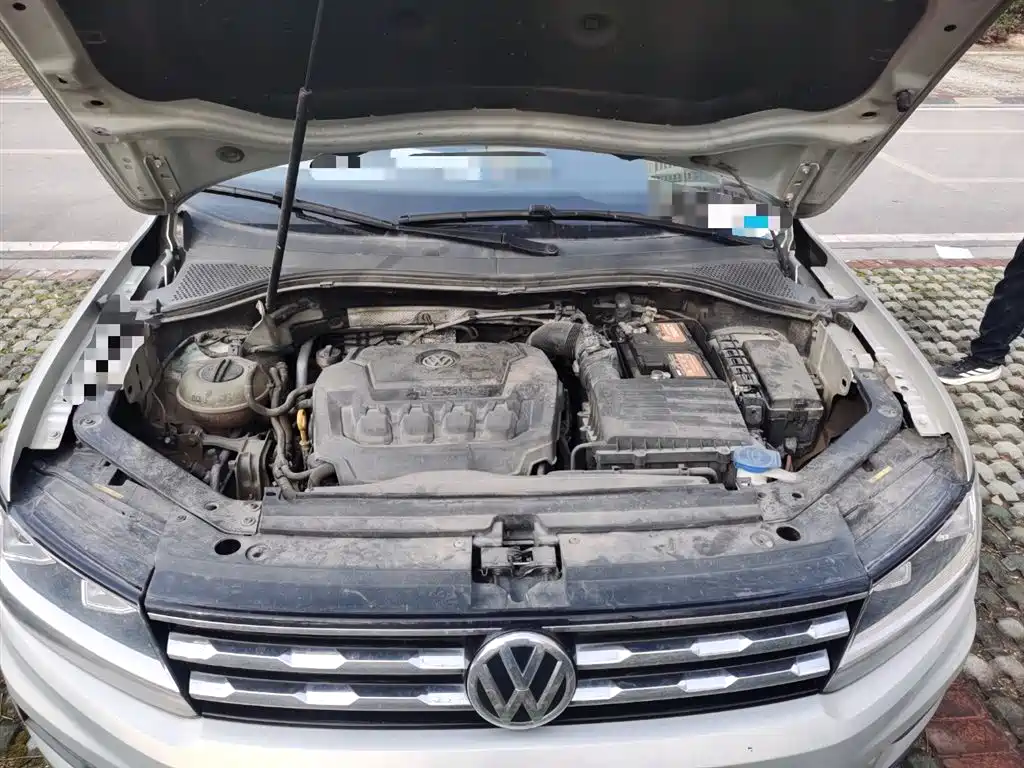 Volkswagen Tiguan L 2019 Facelift 330TSI Auto 2WD Panorama Comfort China VI фото 11