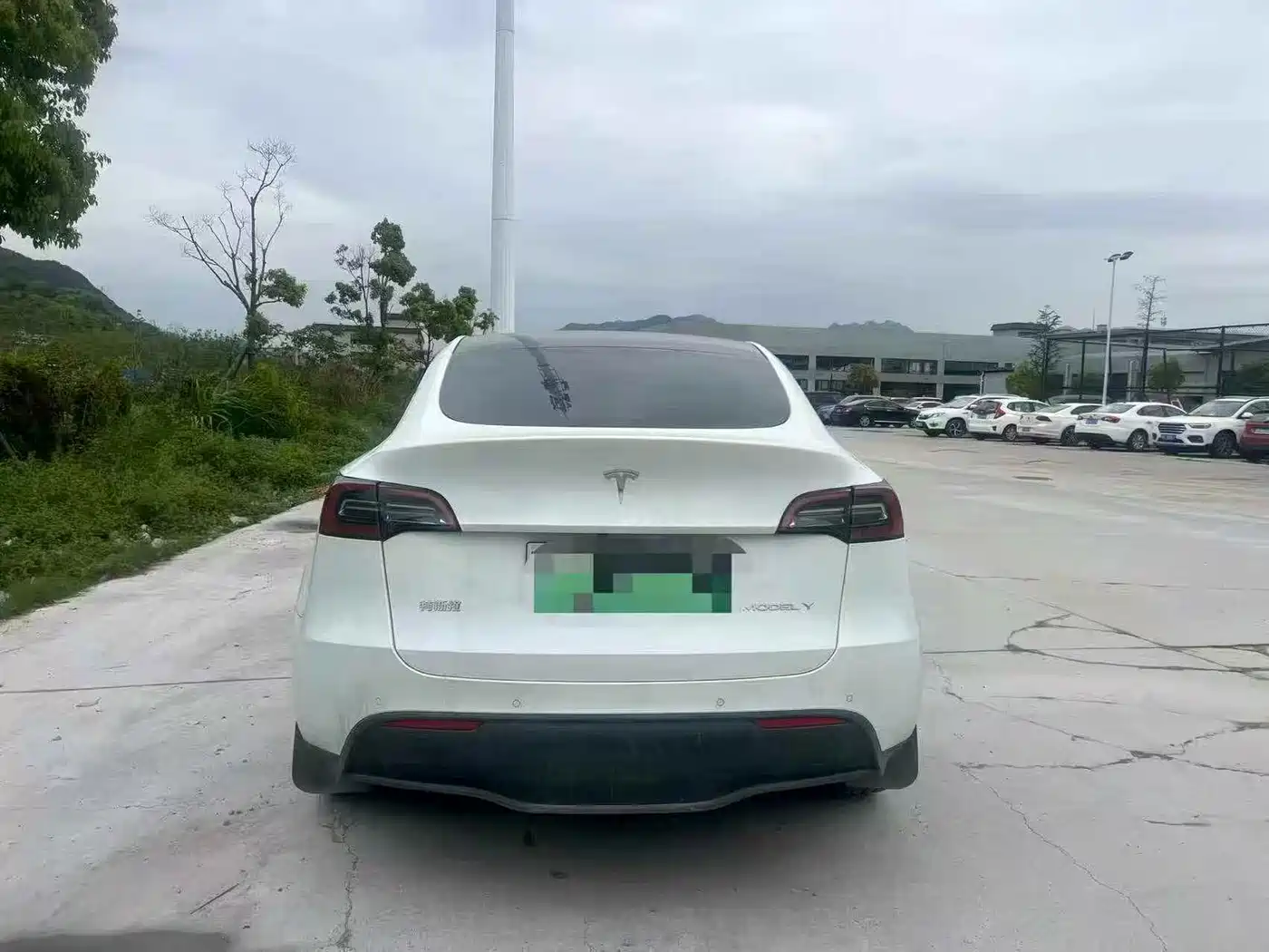 TESLA MODEL Y
