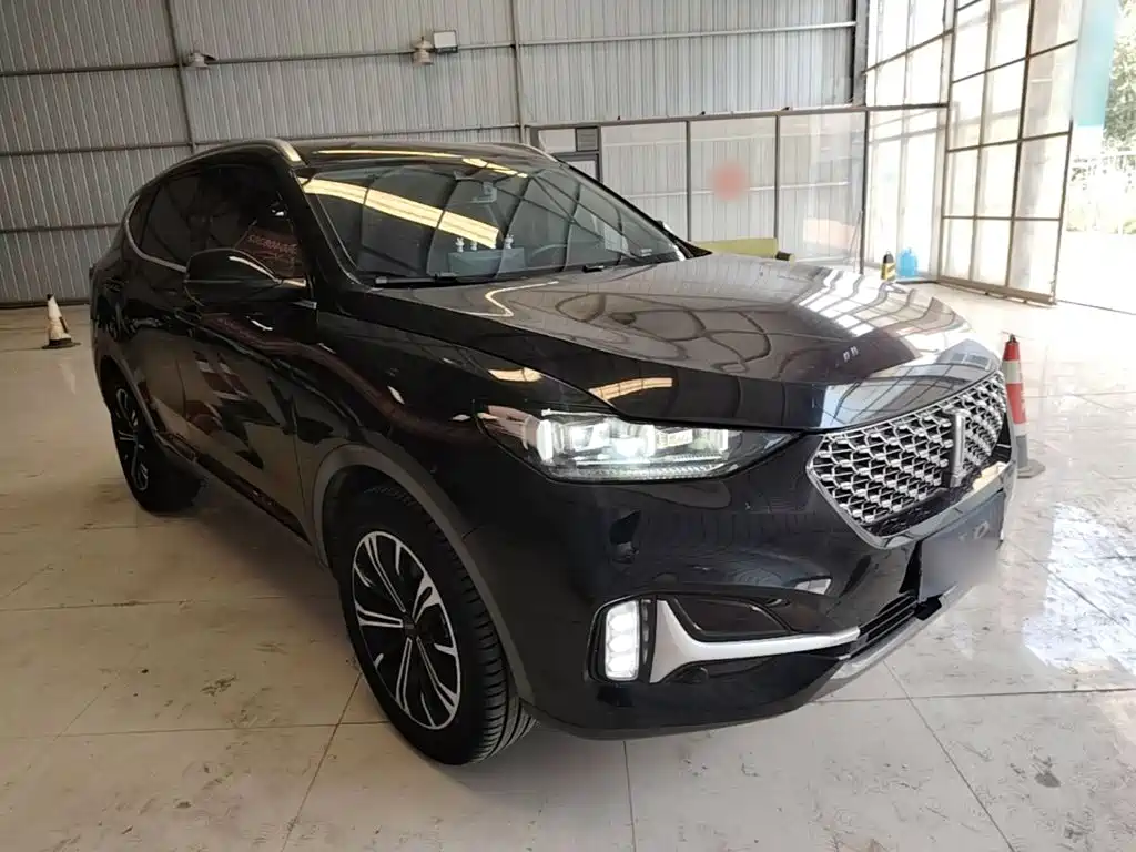 2021 WEY VV6