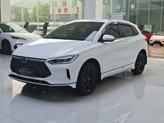  BYD BYD e2 2021 Luxury Edition