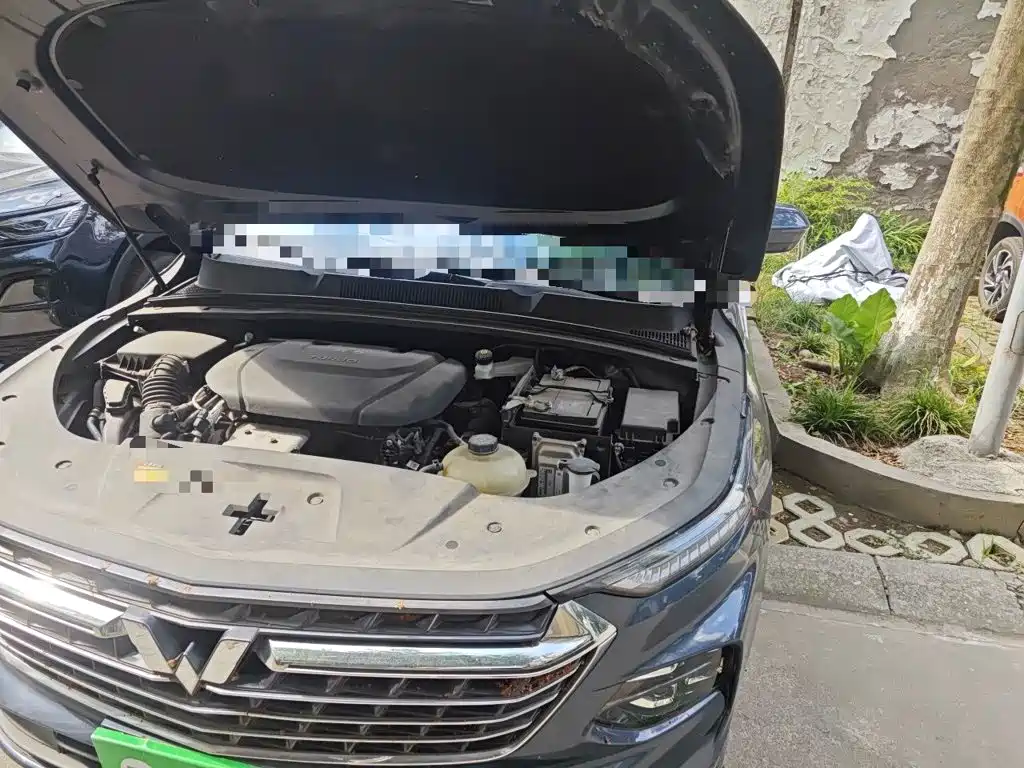 Фото 23 - Wuling Motors Wuling Victory