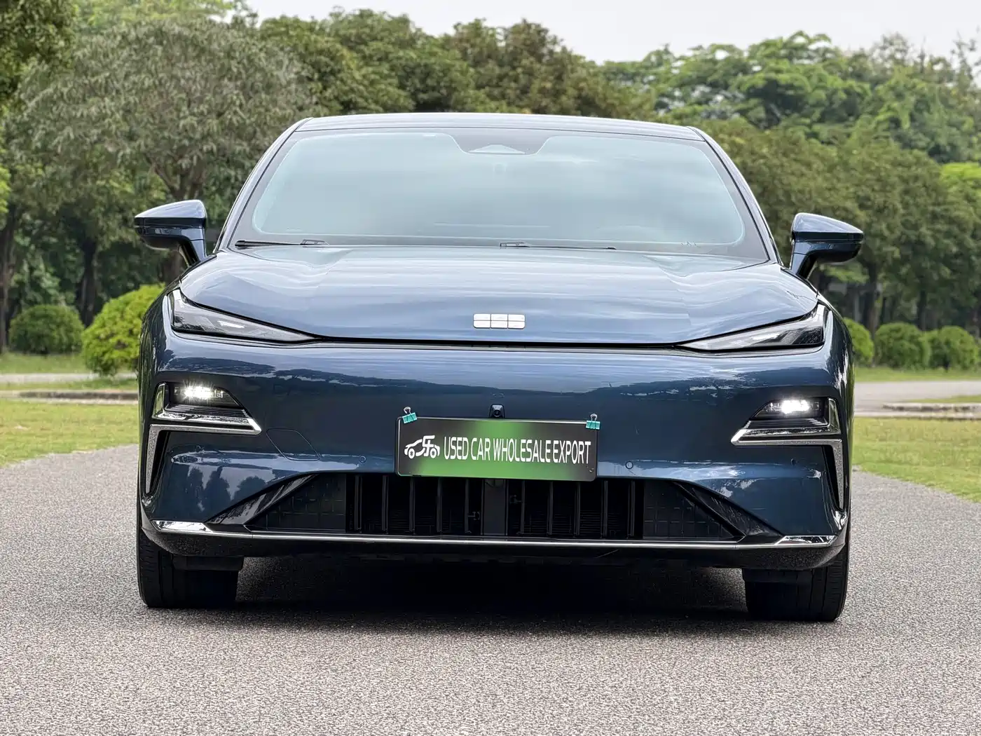 Geely Galaxy Galaxy Xingyao 8 2025 2025 130km EM-i Premium Edition