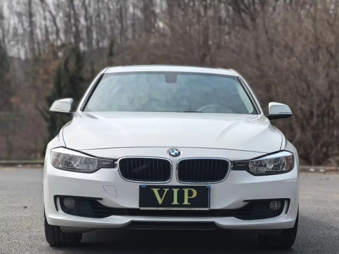 BMW 3 Series 2014 320i Fashion фото 2