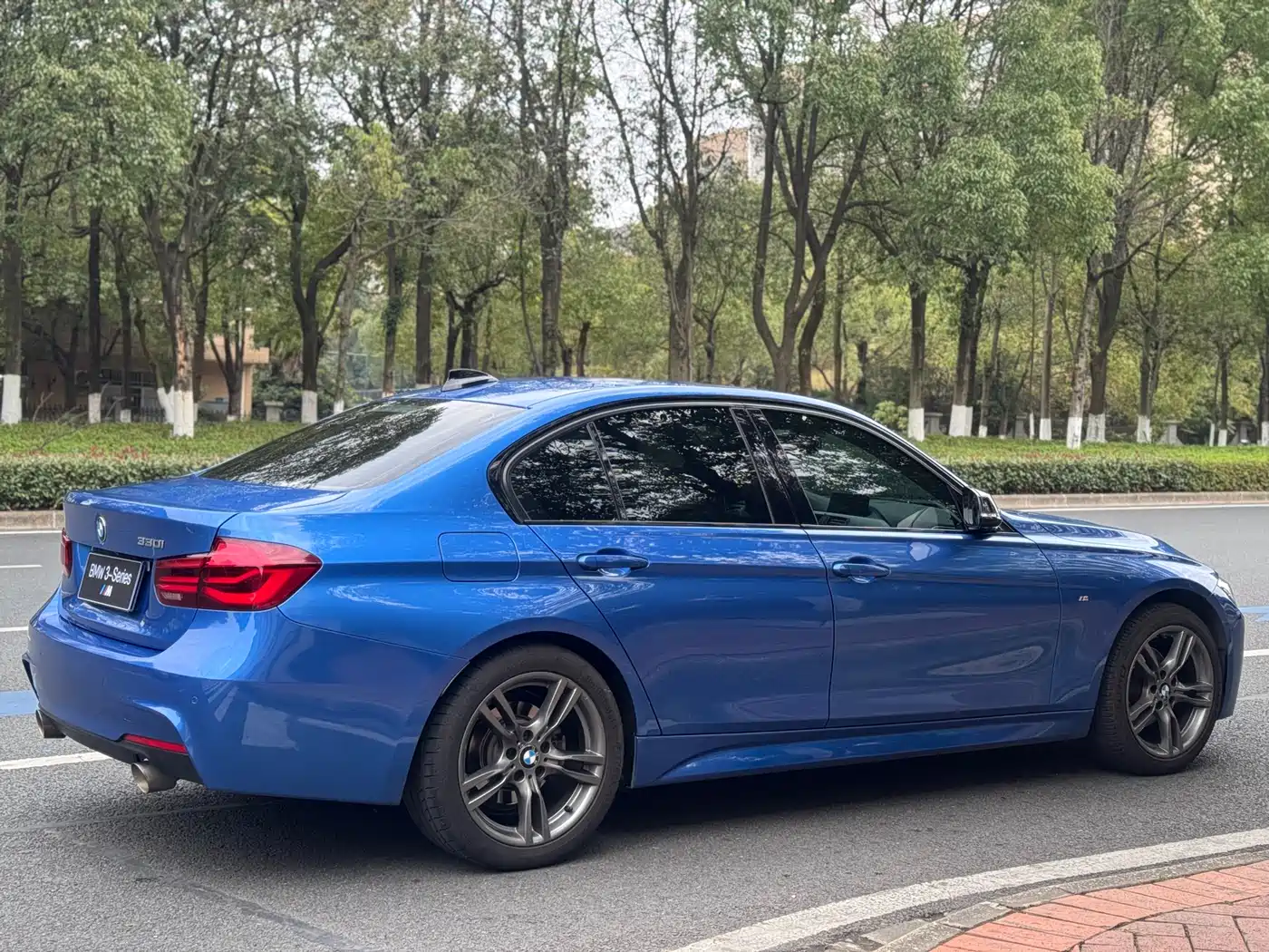 BMW 3 Series 2019 320Li M Sport Black Night Edition фото 7