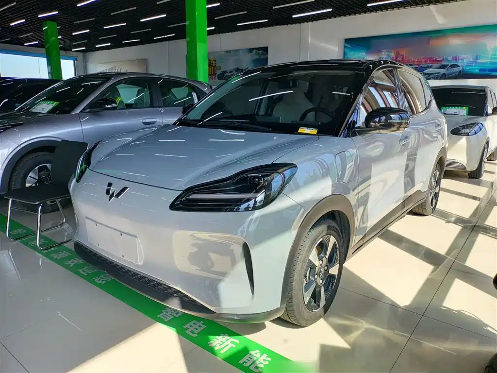 Wuling Motors Wuling Binguo PLUS 2024 401km Flagship 4-Seater