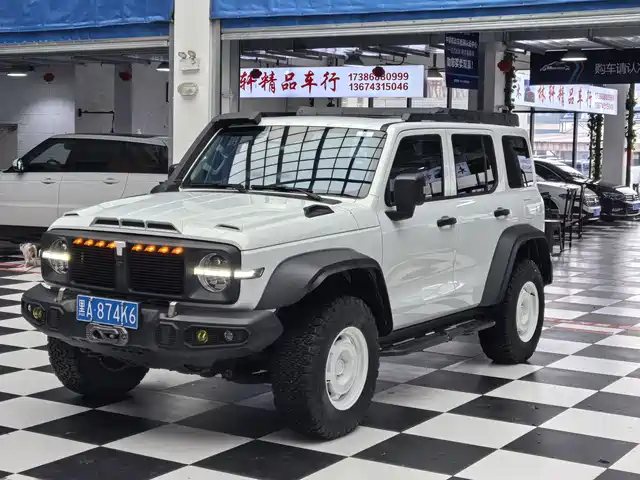 Tank 300 2.0T, Всадник, 02