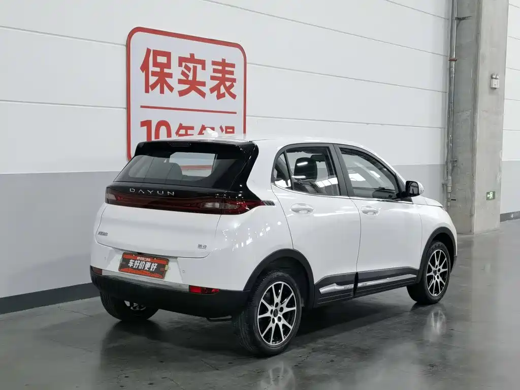 Dayun Yuehu 2022 2021 32.85kWh 2WD Elf Edition