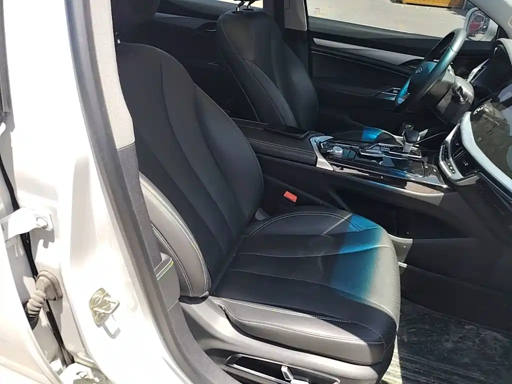 Geely Borui 2022 2021 1.8T Pilot Edition+