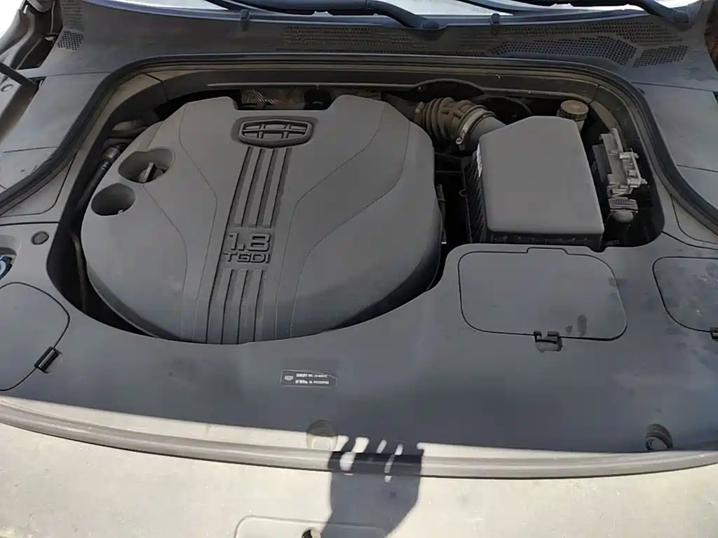 Geely Borui 2022 2021 1.8T Pilot Edition+