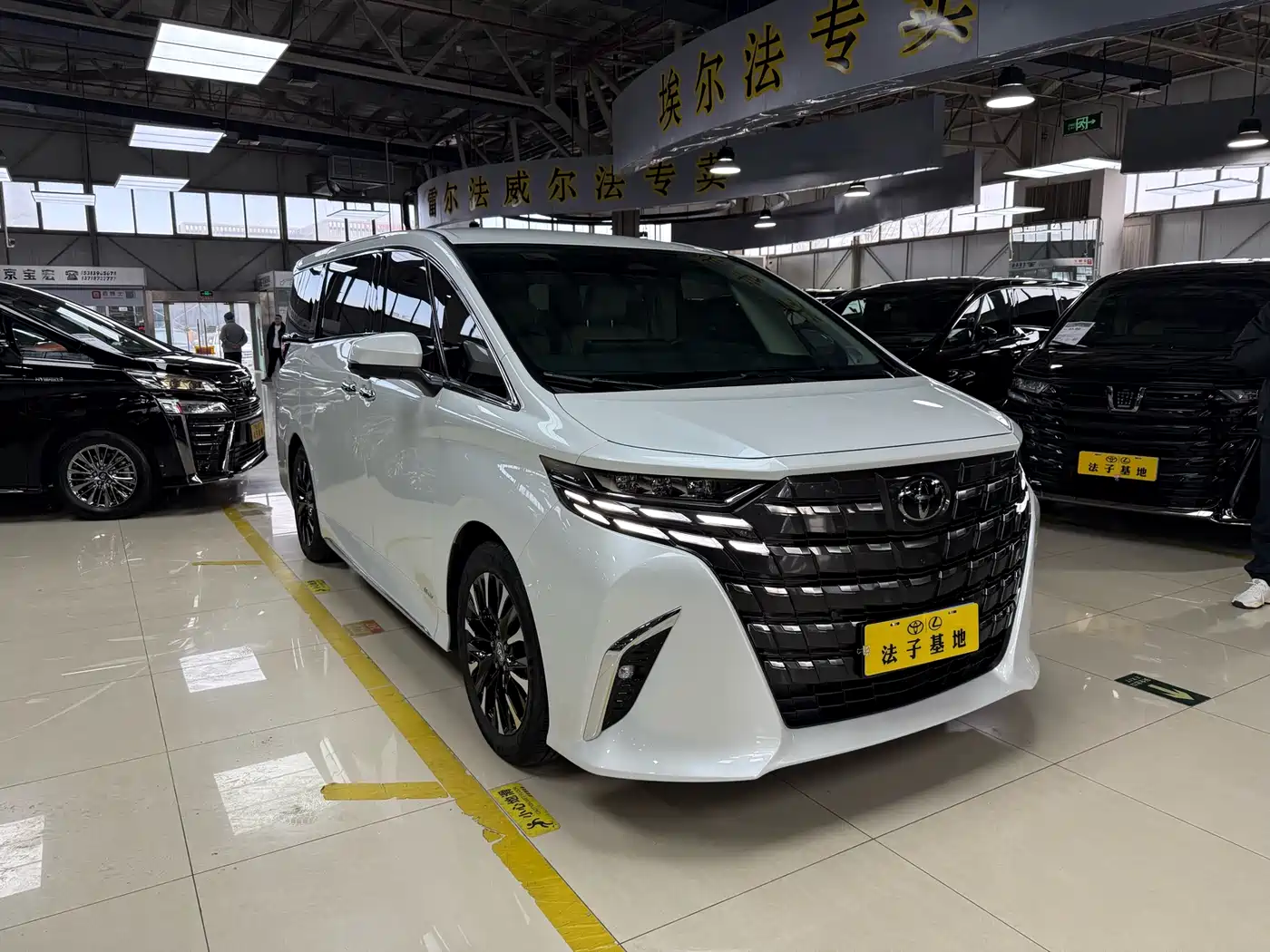 TOYOTA ELFA