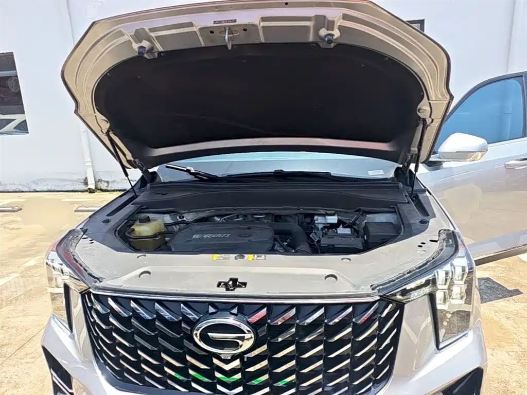 GAC Trumpchi Trumpchi GS8 2022 Pilot Series 2.0TGDI 2WD Luxury Smart Connect Edition (7-Seater) фото 20