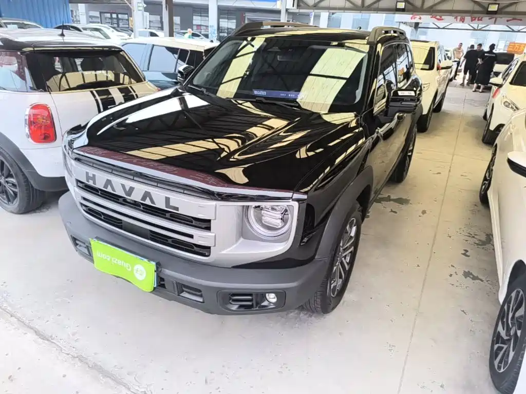 Haval Big Dog 2024 1.5T DCT Border Collie Edition