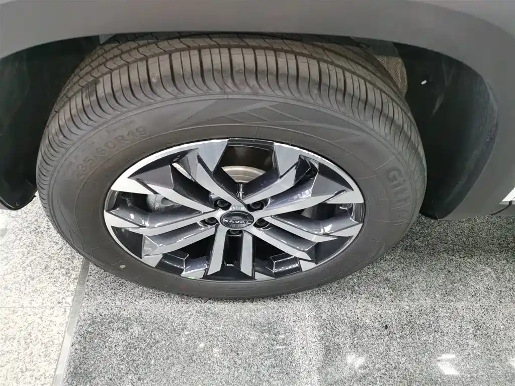 Haval Big Dog 2026 Model 1.5T High Configuration фото 25