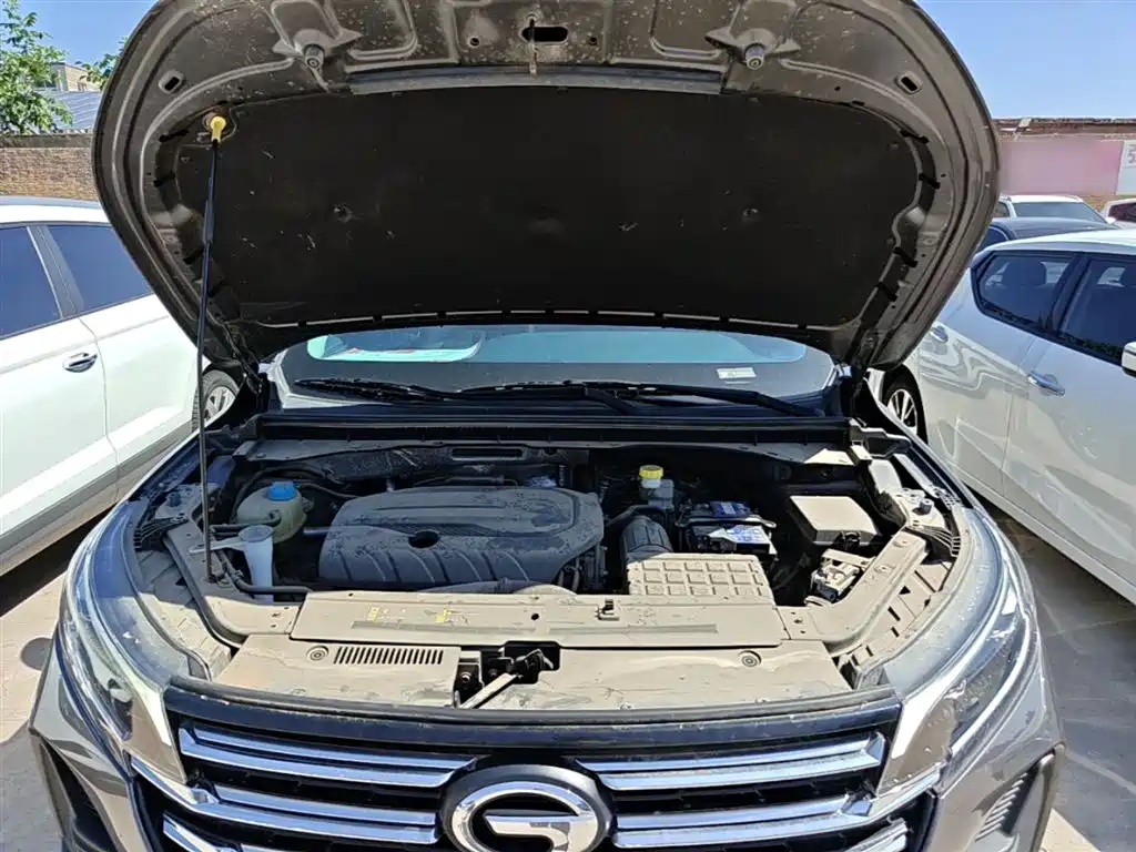 GAC Trumpchi Trumpchi GS4 2021 270T Auto Luxury Smart Connect фото 20